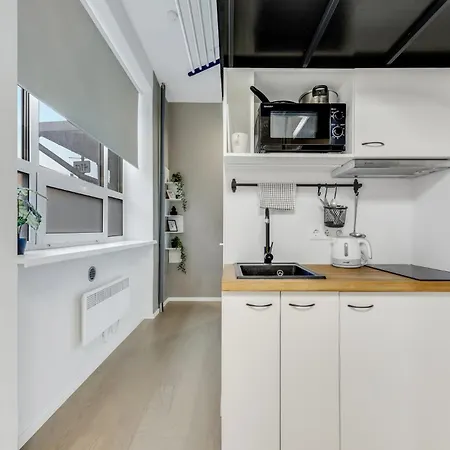 Modern Loft In Center